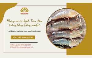 Phòng và điều trị bệnh tôm đốm trắng bằng đồng sunfat